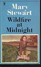 Wildfire at Midnight