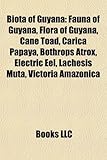 Biota of Guyana: Fauna of Guyana, Flora of Guyana, Cane Toad, Carica Papaya, Bothrops Atrox, Electric Eel, Lachesis Muta, Victoria Amaz-