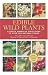 Edible Wild Plants: A North American Field Guide