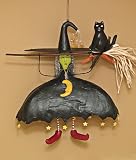 Fallen Witch Display