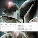 Anklicken zum Vergrößeren: Neuroticfish - Need/It'S Not Me (Audio CD)