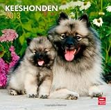 Keeshonden 2013 - Wolfsspitze - Original BrownTrout-Kalender