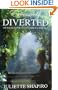 Excessively Diverted: The Sequel to Jane Austen's Pride and Prejudice