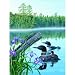 Seasons of the Lake(Summer) 500pc Jigsaw Puzzle by Jim Kasper
