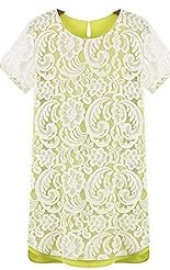 Embroidered General Print Summer Chiffon  Dress