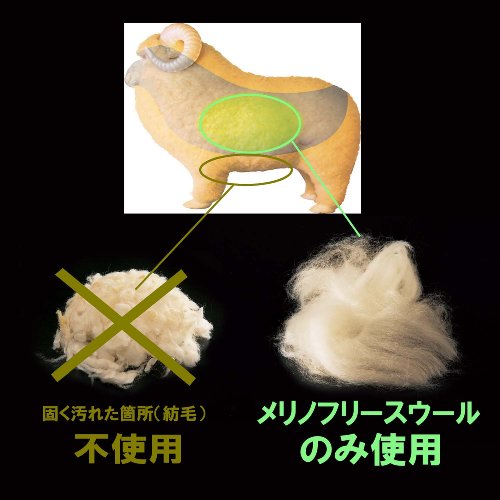 Cover image : Sofwool あったか掛け毛布 ダブル