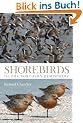 Shorebirds of the Northern Hemisphere (Helm Photographic Guides)