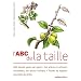 L'ABC de la taille
