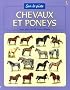 Chevaux et poneys