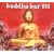 Buddha Bar, Vol. 8