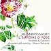 Search : Agar et Ismaele esilati - Critical Edition: Alessandro Borin - Sinfonia (Grave - Presto - Largo - Presto - Presto)