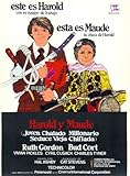 IMAGE OF Harold and Maude Poster Movie Spanish 11x17 Ruth Gordon Bud Cort Cyril Cusack Vivian Pickles