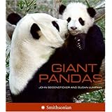 giant pandas