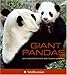 Giant Pandas