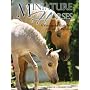Miniature Horses: A Veterinary Guide for Owners & Breeders