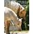 Miniature Horses: A Veterinary Guide for Owners & Breeders