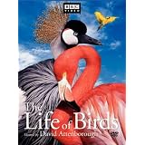 The Life of Birds [Import USA Zone 1]par David Attenborough