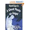 A Ghost Meets an Angel: Shannon Delaney Paranormal Mystery Series (Volume 3)