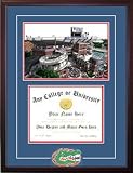 University of Florida Gators Alumni Diploma Frame
