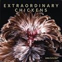 Extraordinary Chickens 2010 Wall Calendar
