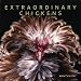 Extraordinary Chickens 2010 Wall Calendar