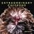 Extraordinary Chickens 2010 Wall Calendar