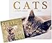 2016 Wall Calendar & Mini Calendar - Cats & Kittens