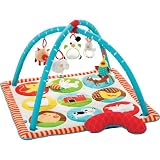 Skip Hop Funky Farmyard Activity Gym - 307000