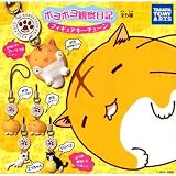 カプセル ポヨポヨ観察日記 フィギュアキーチェーン 全5種セット