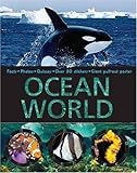 Ocean world