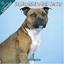 Staffordshire Bull Terrier 2010 Wall Calendar #10076-10