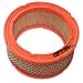 0C8127 - Generac Guardian air filter