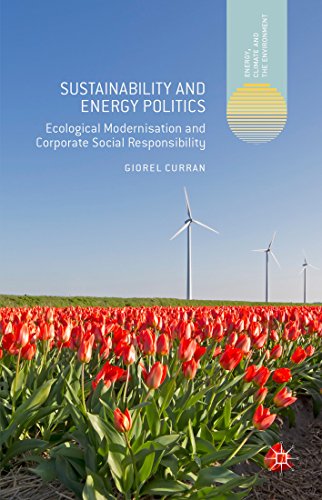 Sustainability and Energy Politics: Ecological Modernisation and Corporate Social Responsibility (Energy, Climate and the Environment)