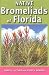 Native Bromeliads of Florida