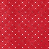 ミヅシマ アルマット 411-1250 920×10M レッド