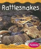 Rattlesnakes (Desert Animals)