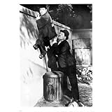 (27x38) Sons of the Desert Movie (Laurel & Hardy) Poster Print