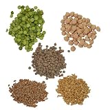 U.S.A. Grown | GMO Free | Sample Pack includes 1 LB: Garbanzo Beans, Hard Red Wheat Berries, Soft White Wheat Berries, Len... by Palouse Brand Cheap