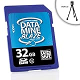 Blazing High-Speed Class 10 DataMINE 32GB SDHC Flash Memory Card for PlayTo ....