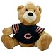 Chicago Bears Dancing NFL Bear