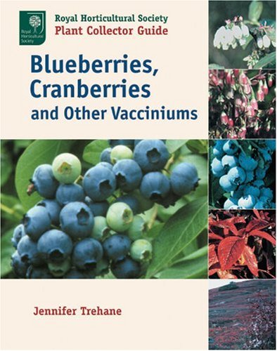 Fruits and Vegetables