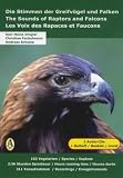 Produkt-Bild: Die Stimmen der Greifv&ouml;gel und Falken. The Sounds of Raptors and Falcons. Les Voix des Rapaces et Faucons: 58 Greifv&ouml;gel und 45 Falken