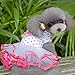 Moya Puppy Pet Dog Cat Princess Lace Skirt Tutu Dress Summer Clothes Pink