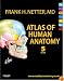 Atlas of Human Anatomy: with Student Consult Access (Netter Basic Science)