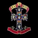 Appetite For Destruction [Explicit]