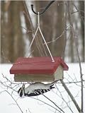 Birds Choice Single Cake Upside Down Suet Bird Feeder with Hanging Cable