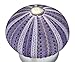 SeaThingz Flameless Candles - Real Sea Urchin Night Light - LED Battery Operated Tealight for Elegant Coastal Home Decor
