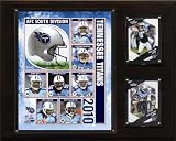 NFL Tennessee Titans 2010 Team Plaque