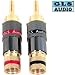 GLS Audio Locking Series Generation II Gold Connector Banana Plugs - 10 Pack (5 Reds & 5 Blacks)