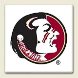 AbsorbaStone Coaster set~ Florida State University Seminoles noles ~ 4 Tile Drink Coasters ~ code 917